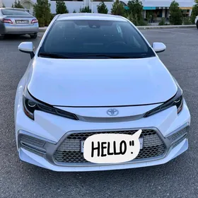 Toyota Corolla 2020