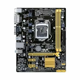 ASUS H81