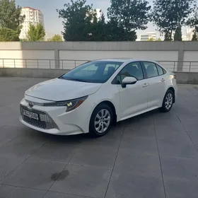 Toyota Corolla 2019