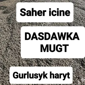 MITI GUM ÇAGE GRAWY MYTY ŞEBIL