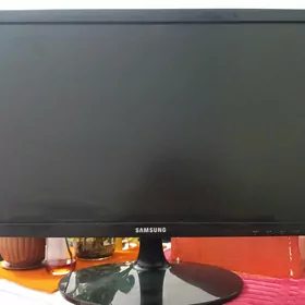 monitor