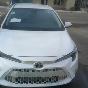 Toyota Corolla 2021