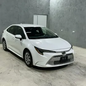 Toyota Corolla 2020