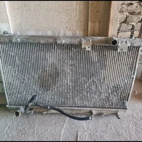 radiator 3lik samsyk kemri