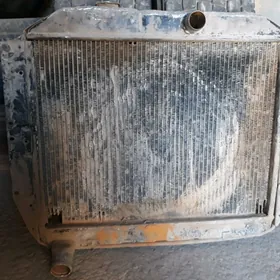 Radiator zil