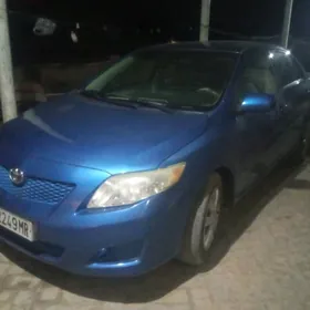 Toyota Corolla 2010