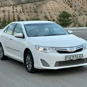 Toyota Camry 2013