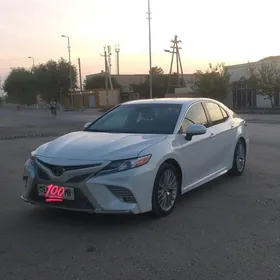 Toyota Camry 2019