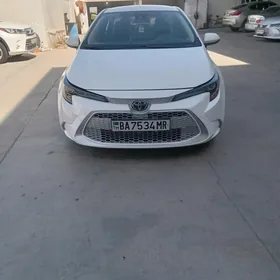 Toyota Corolla 2020