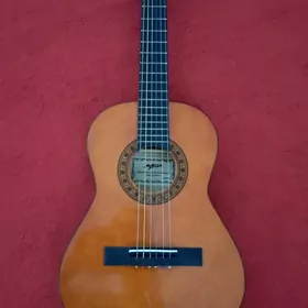 Gitara