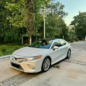 Toyota Camry 2020