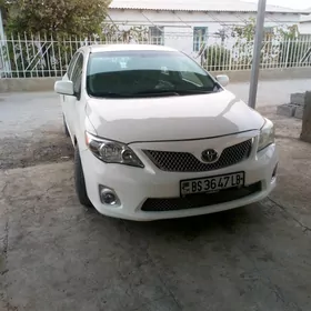 Toyota Corolla 2010