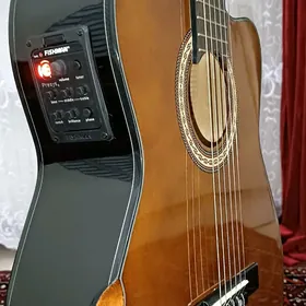 Gitara VALENCIA Гитара