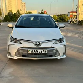 Toyota Corolla 2021