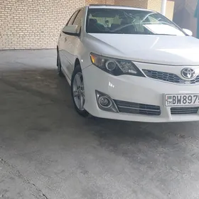 Toyota Camry 2013