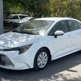 Toyota Corolla 2019