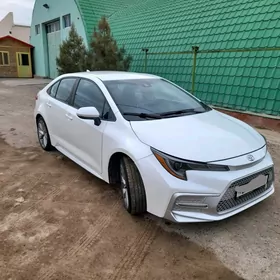 Toyota Corolla 2020