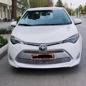 Toyota Corolla 2019