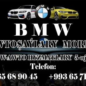 Bmw Morda