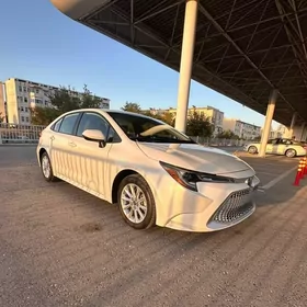 Toyota Corolla 2019