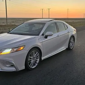 Toyota Camry 2019