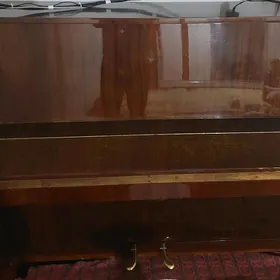 piano росмов.дон