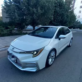 Toyota Corolla 2020