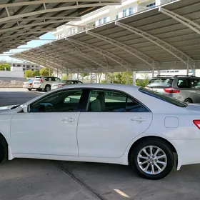 Toyota Camry 2010