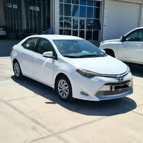 Toyota Corolla 2019