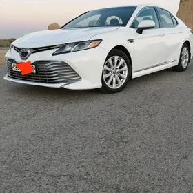 Toyota Camry 2020