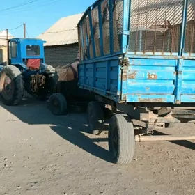 MTZ T-28 2008