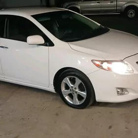 Toyota Corolla 2010