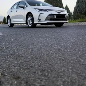 Toyota Corolla 2020