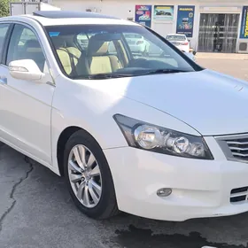 Honda Accord 2011