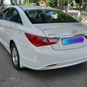 Hyundai Sonata 2010