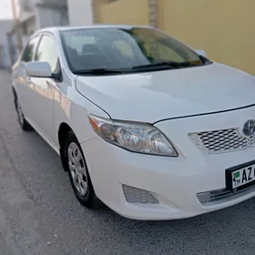 Toyota Corolla 2011