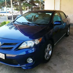 Toyota Corolla 2010