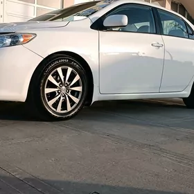 Toyota Corolla 2010