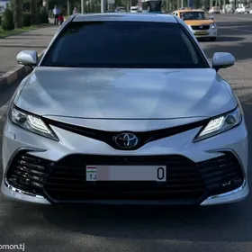 ewropeyka camry haliji fara