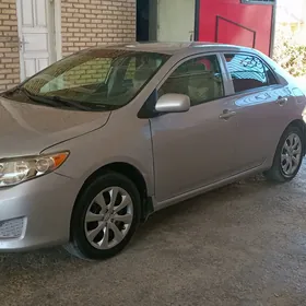 Toyota Corolla 2009