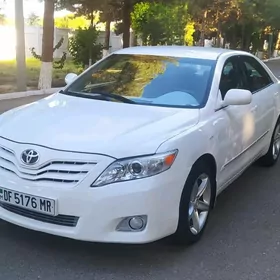 Toyota Camry 2010