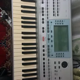 Saz guraly KORG PA 50