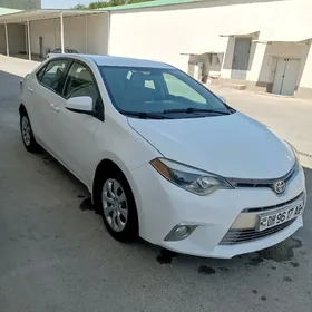 Toyota Corolla 2013