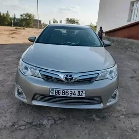 Toyota Camry 2013