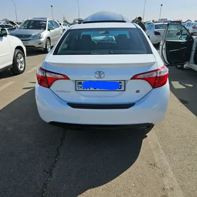 Toyota Corolla 2014