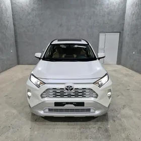 Toyota RAV4 2024