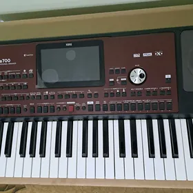 KORG PA-700