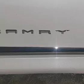 "CAMRY"-ýazgy gapy nakleýka