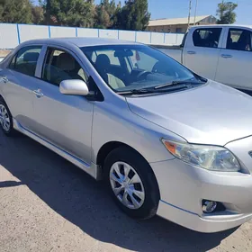 Toyota Corolla 2010