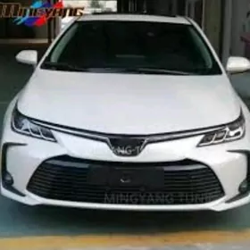 Corolla 2020-2021 haliji fara